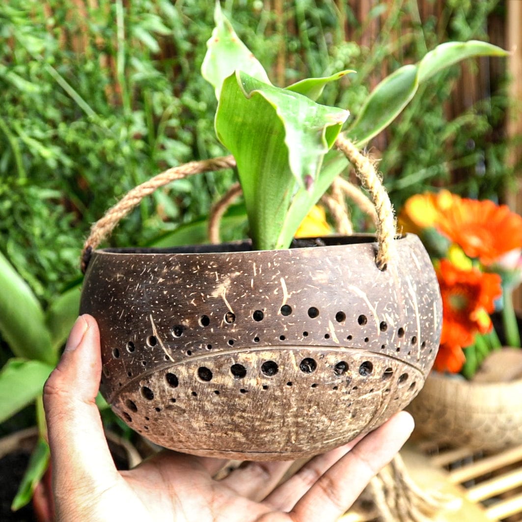 Hanging Two-Tone Coconut Planter