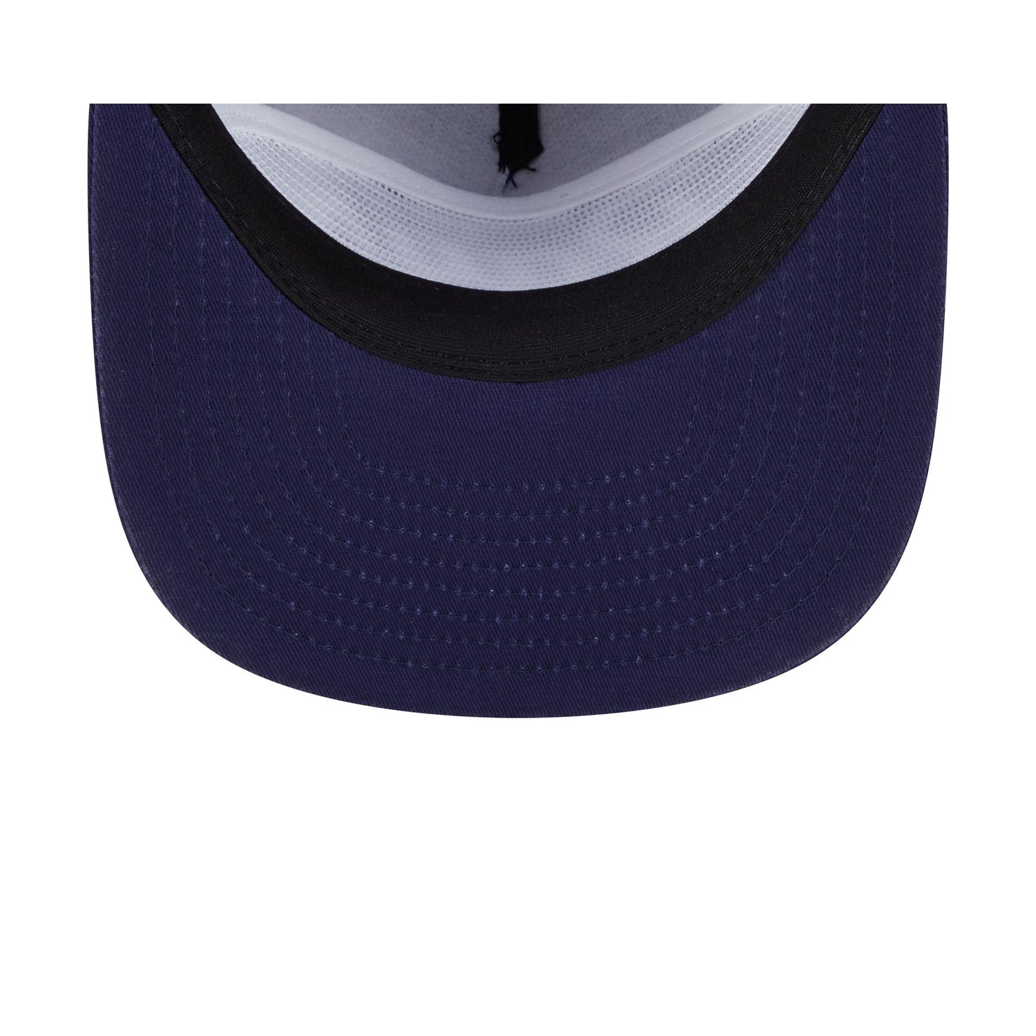 Tampa Bay Rays Team Text Golfer Hat