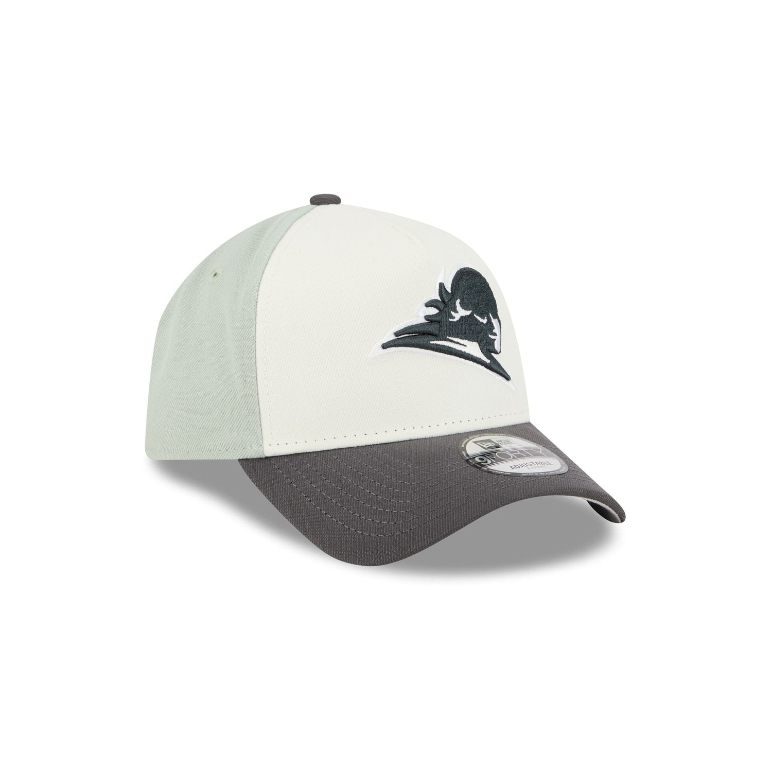 Conspiradores de Querétaro Mint 9FORTY A-Frame Snapback Hat