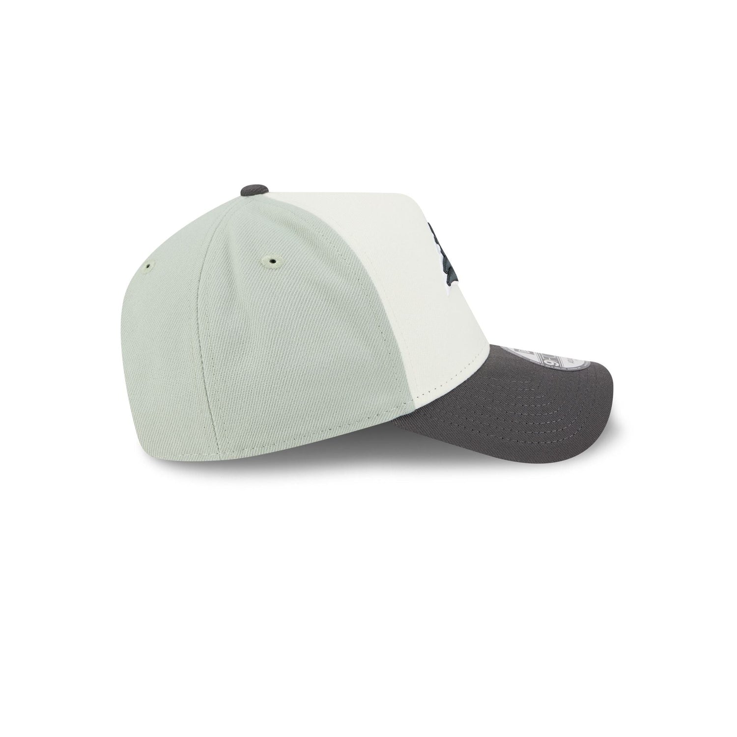 Conspiradores de Querétaro Mint 9FORTY A-Frame Snapback Hat