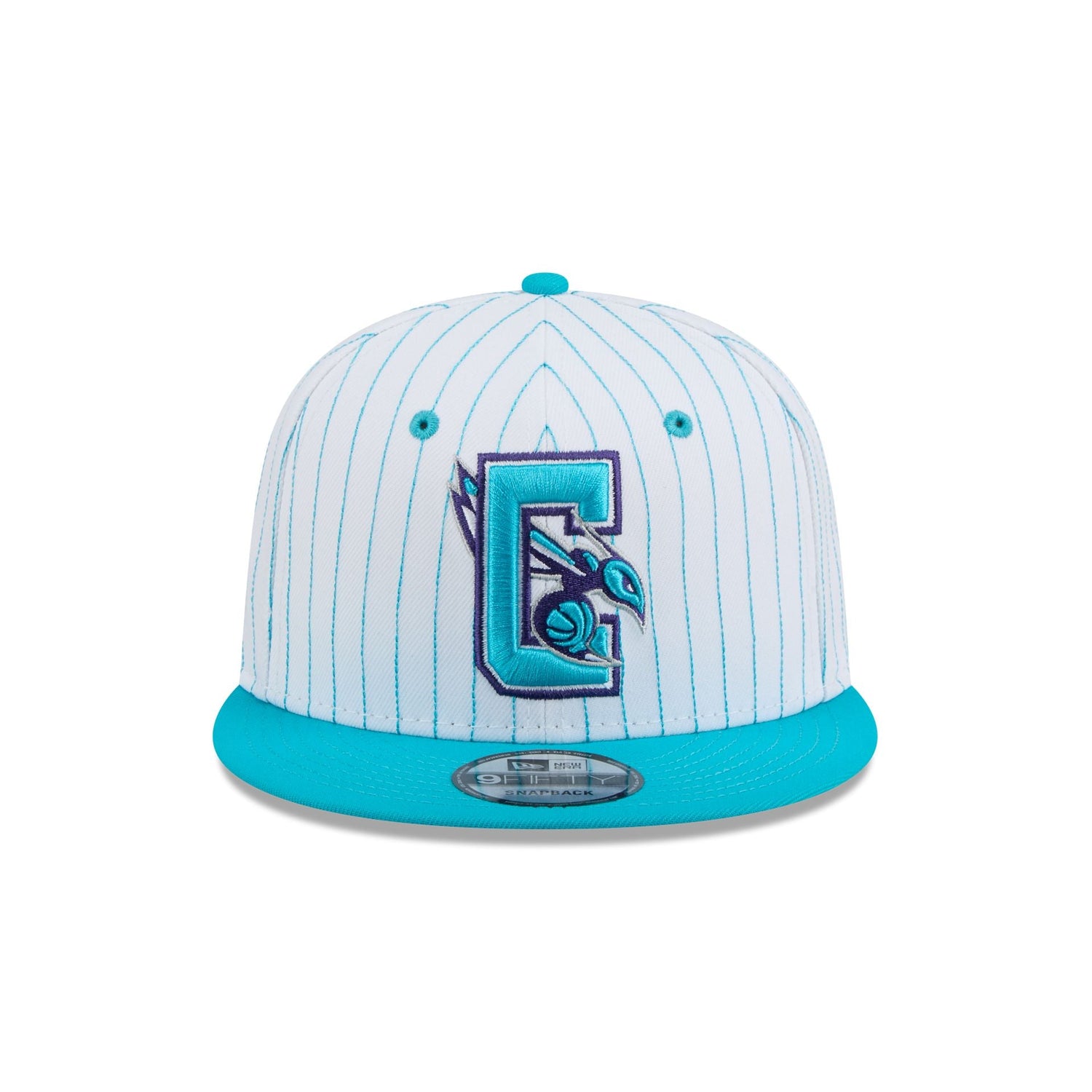 Charlotte Hornets Deceptor Pinstripe 9FIFTY Snapback Hat