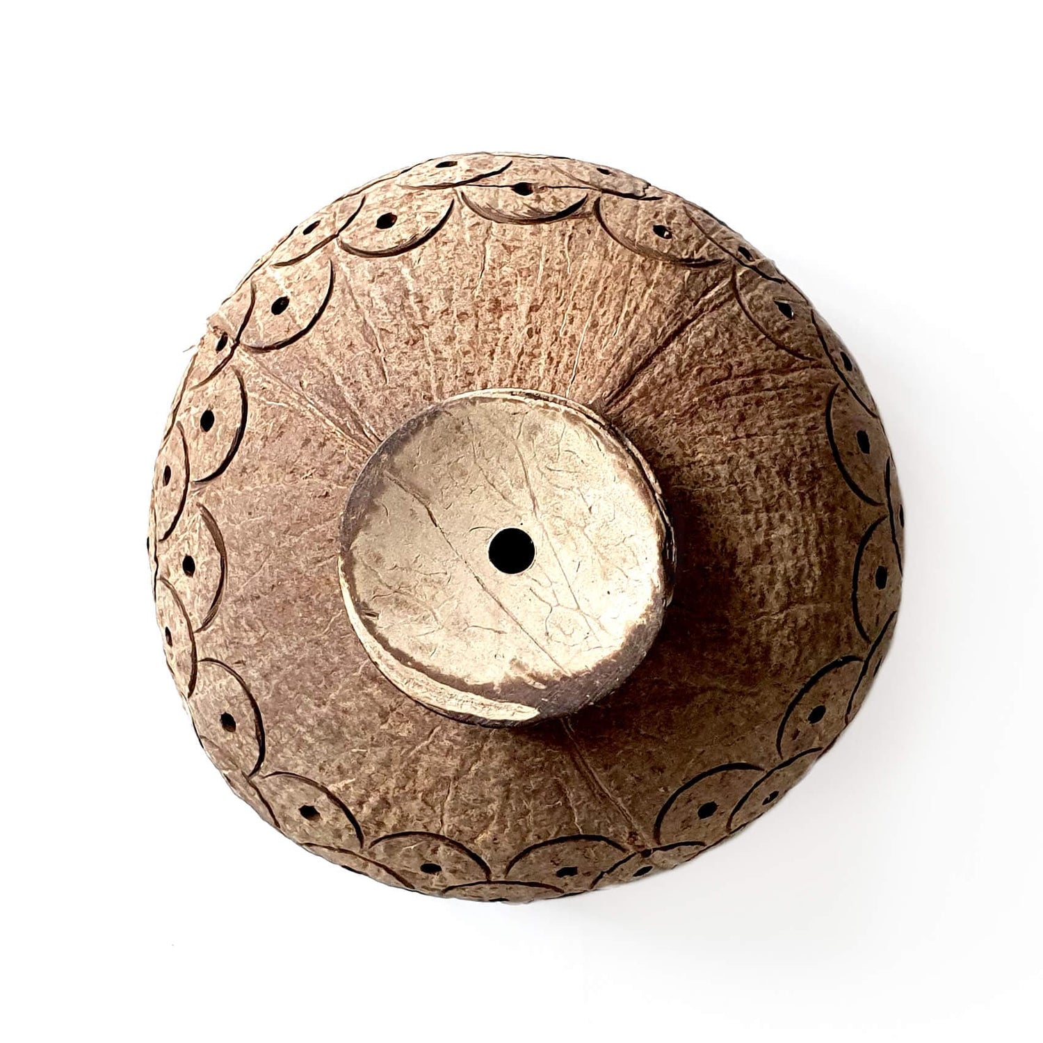 Dragon Scales Coconut Planter