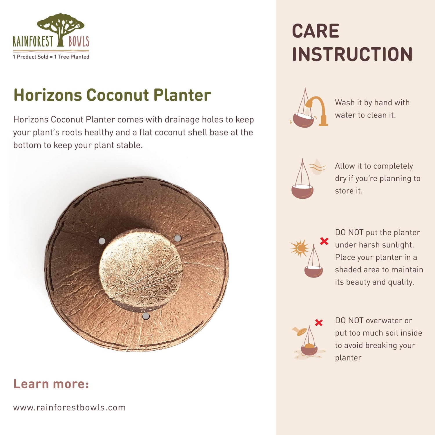 Horizons Coconut Planter
