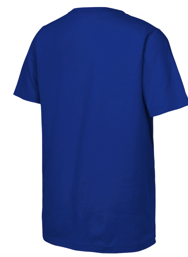 Youth Toronto Blue Jays Fanatics Royal 2025 AL East Division Champions Locker Room T-Shirt