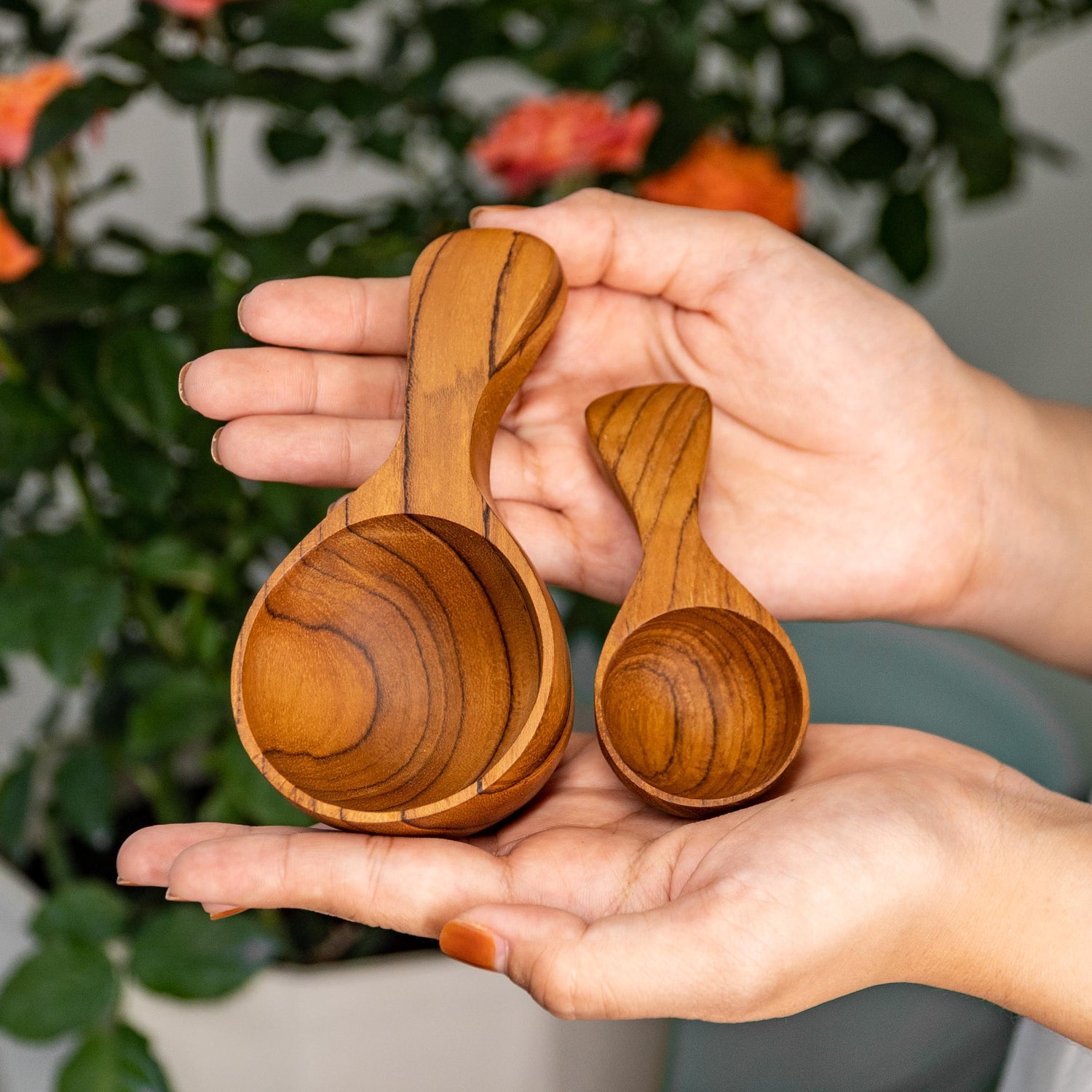 Teak Wood Powder and Spice Serving Spoon - Jumbo