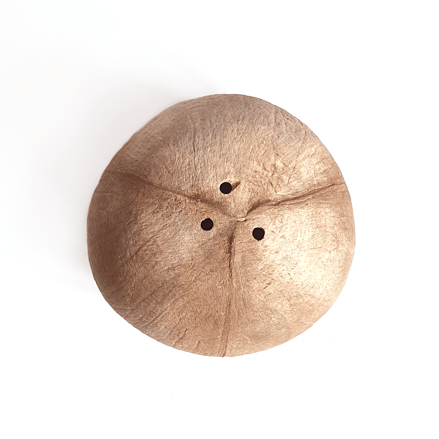 Hanging Fiber Coconut Planter