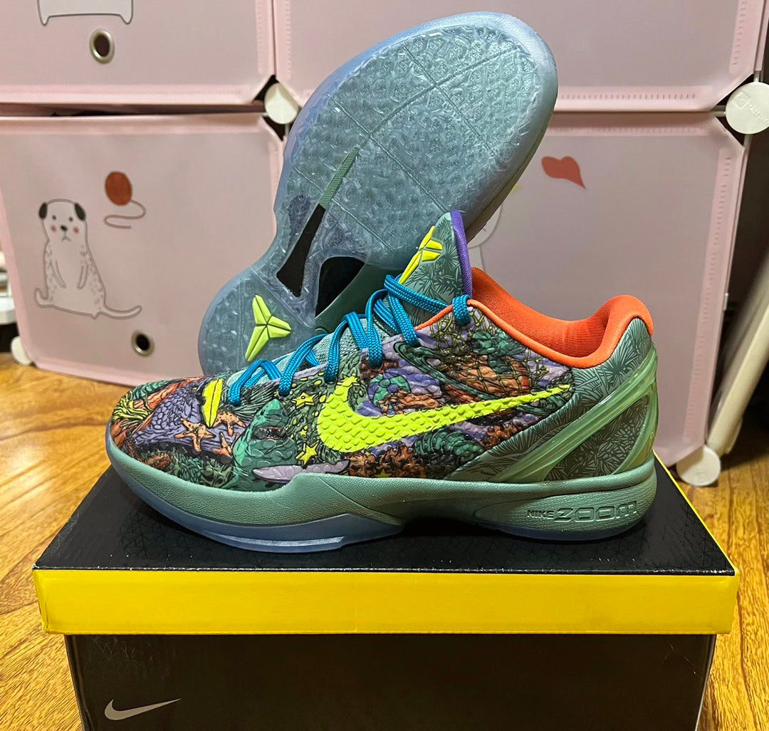 Kobe 6 Prelude