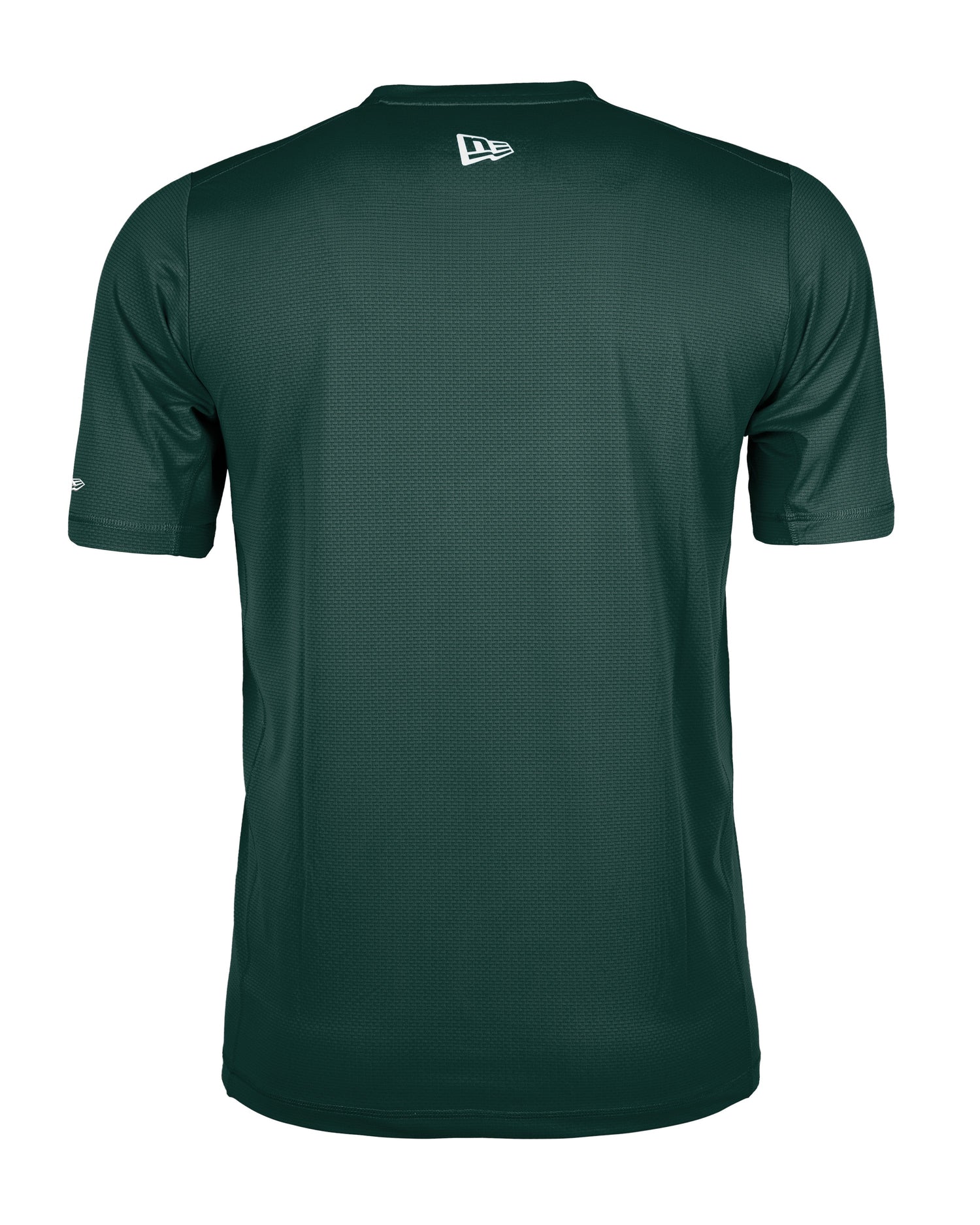 2025 Saskatchewan Roughriders CFL Football New Era Equipment Sideline T Shirt  - Green