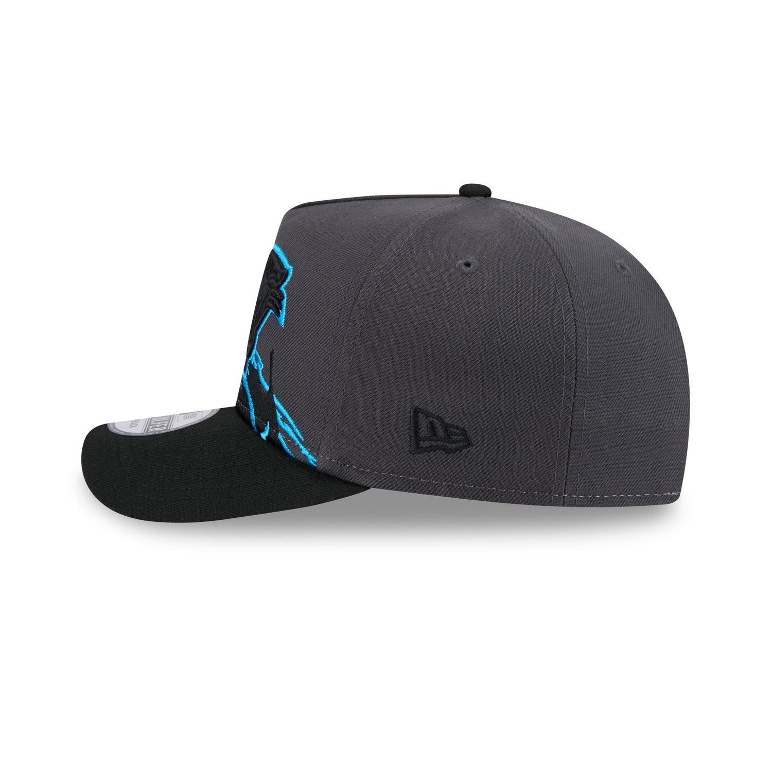 Carolina Panthers Graphite Brushstroke Golfer Hat