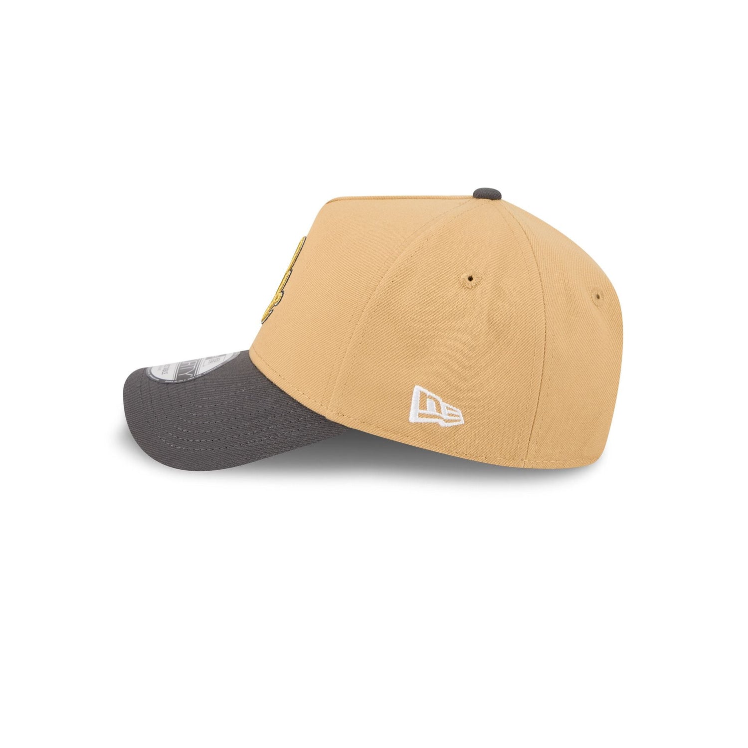 Guerreros de Oaxaca Bronze 9FORTY A-Frame Snapback Hat