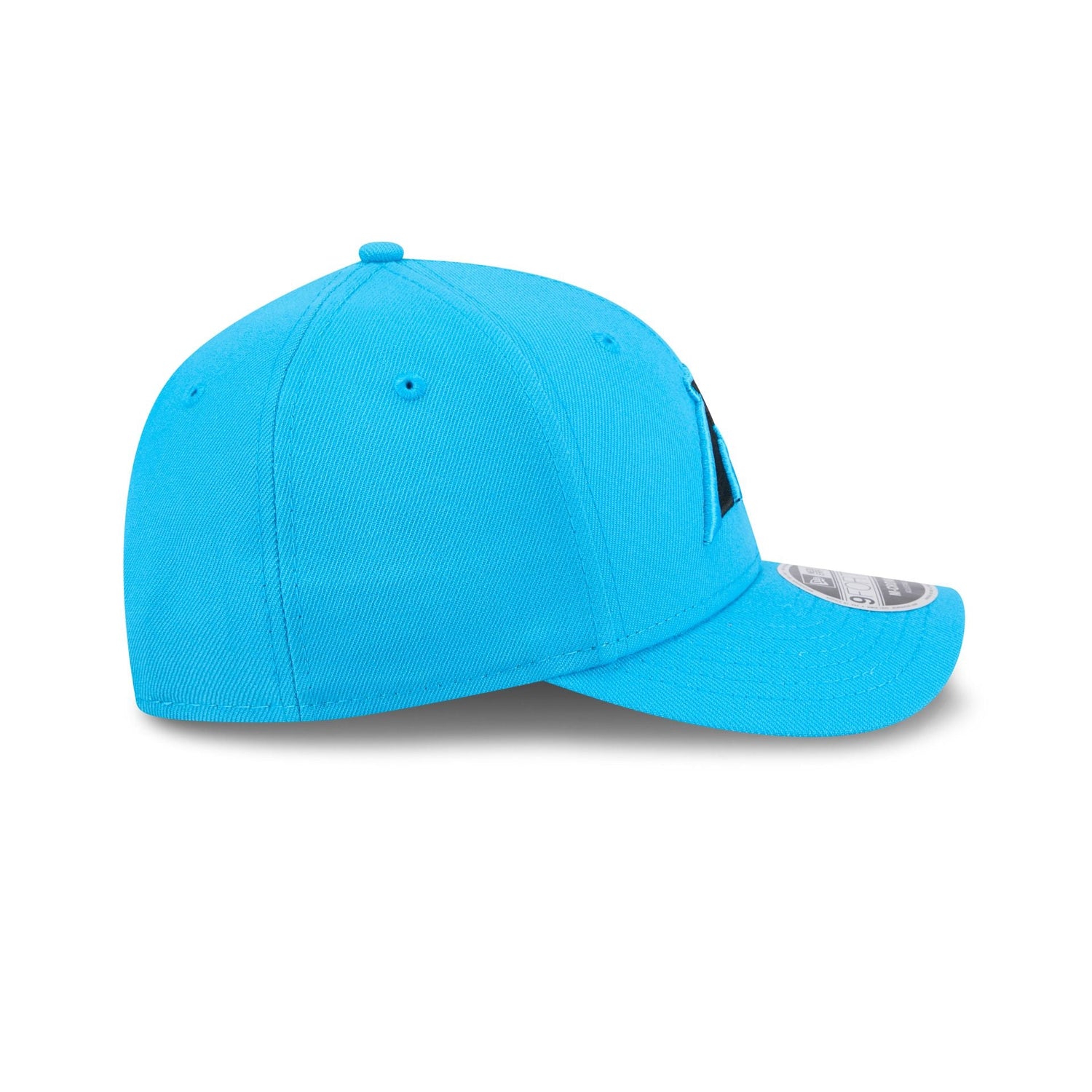 Carolina Panthers Team 9FORTY M-Crown Snapback Hat