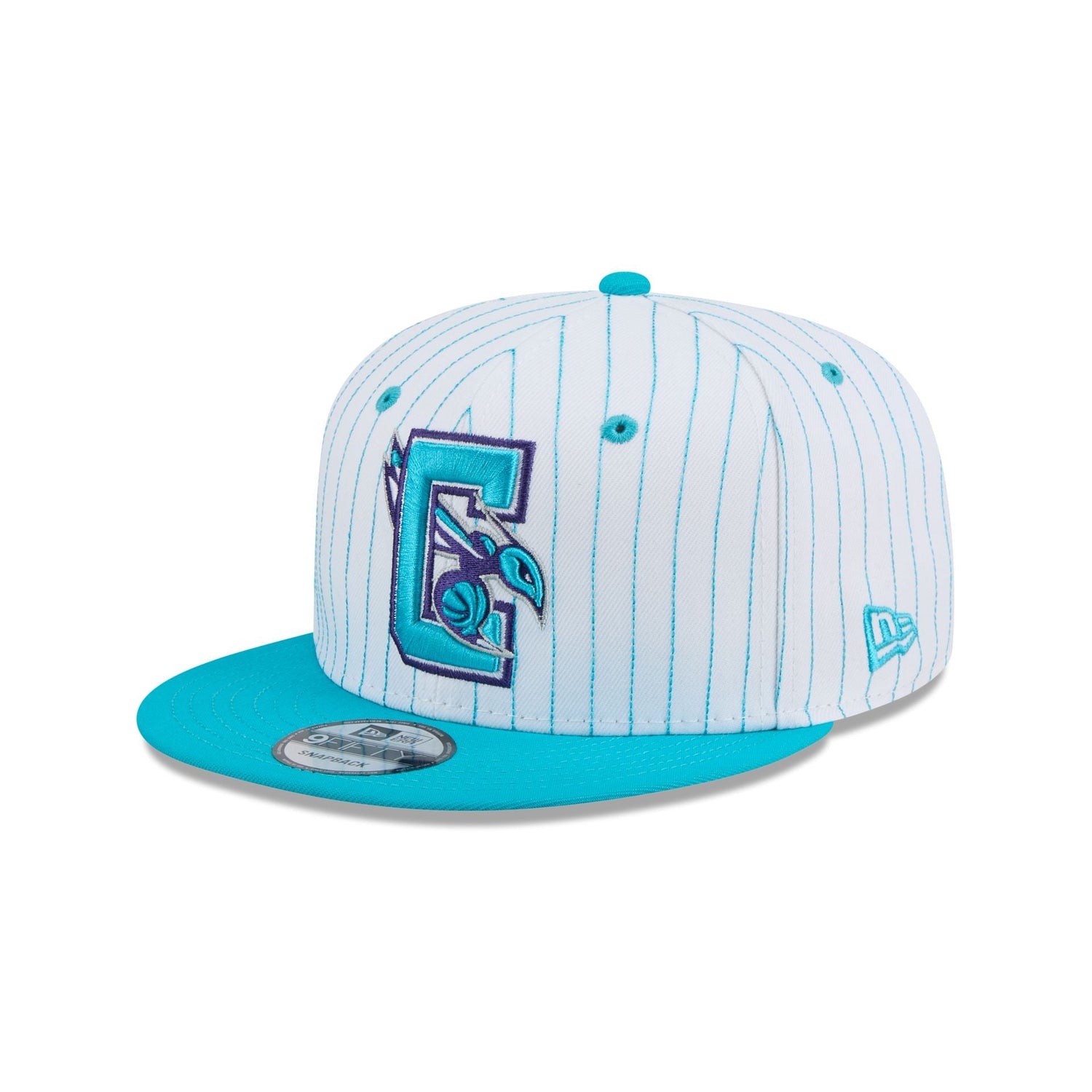 Charlotte Hornets Deceptor Pinstripe 9FIFTY Snapback Hat