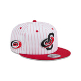 Carolina Hurricanes Deceptor Pinstripe 9FIFTY Snapback Hat