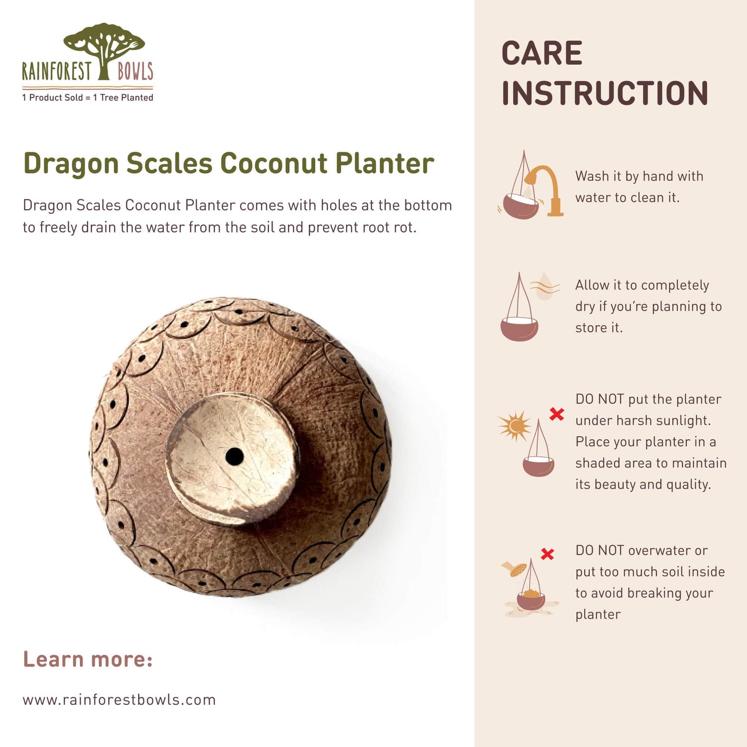 Dragon Scales Coconut Planter