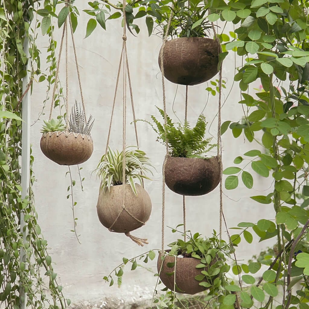 Hanging Coconut Planter (3-Tier)