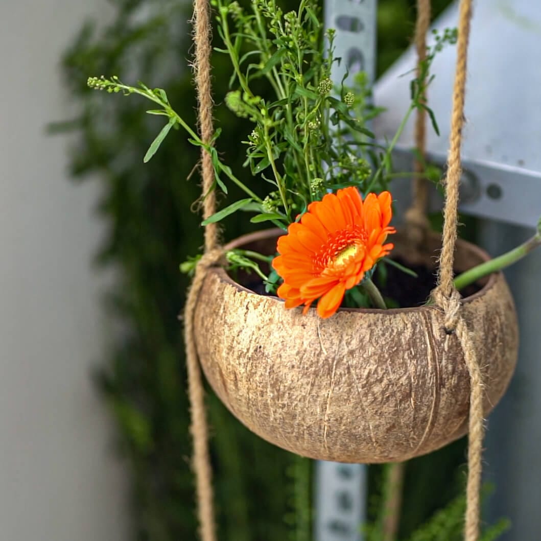 Hanging Coconut Planter (3-Tier)