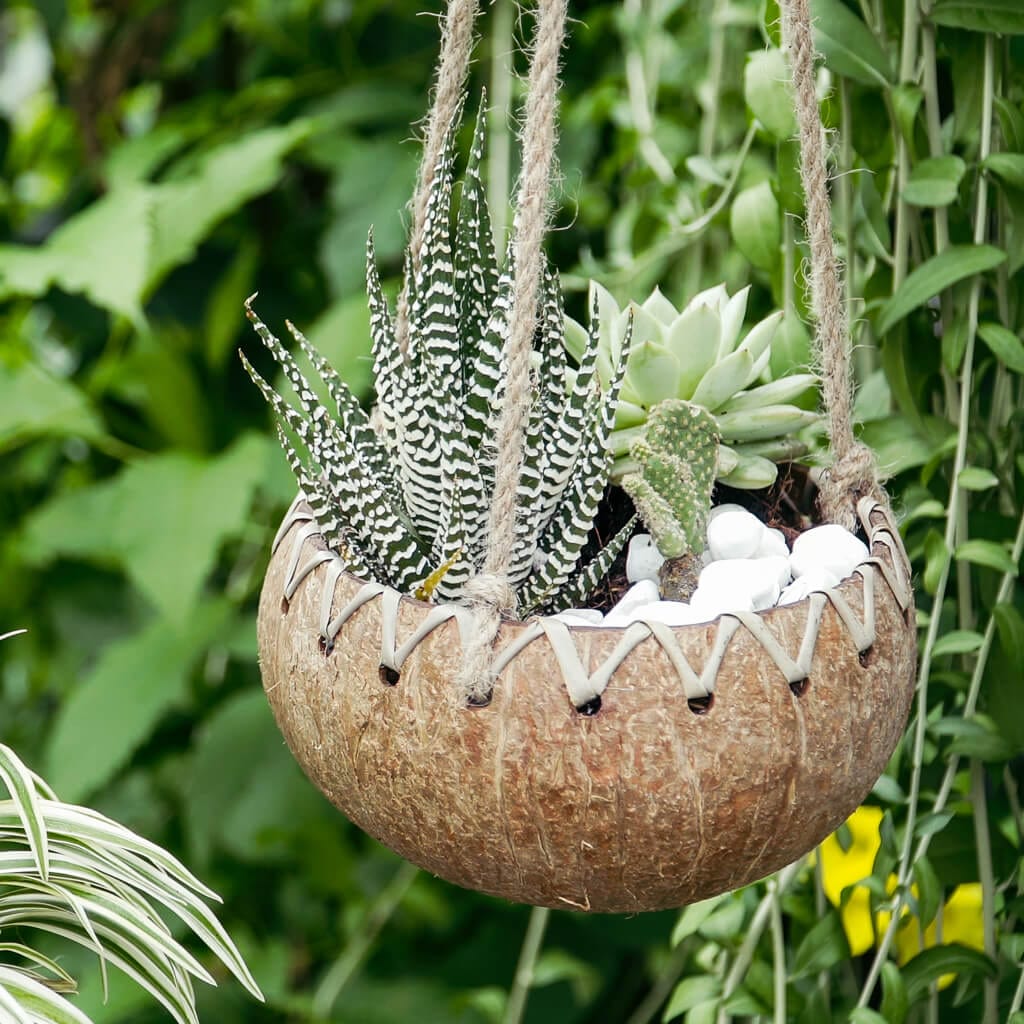 Hanging Fiber Coconut Planter
