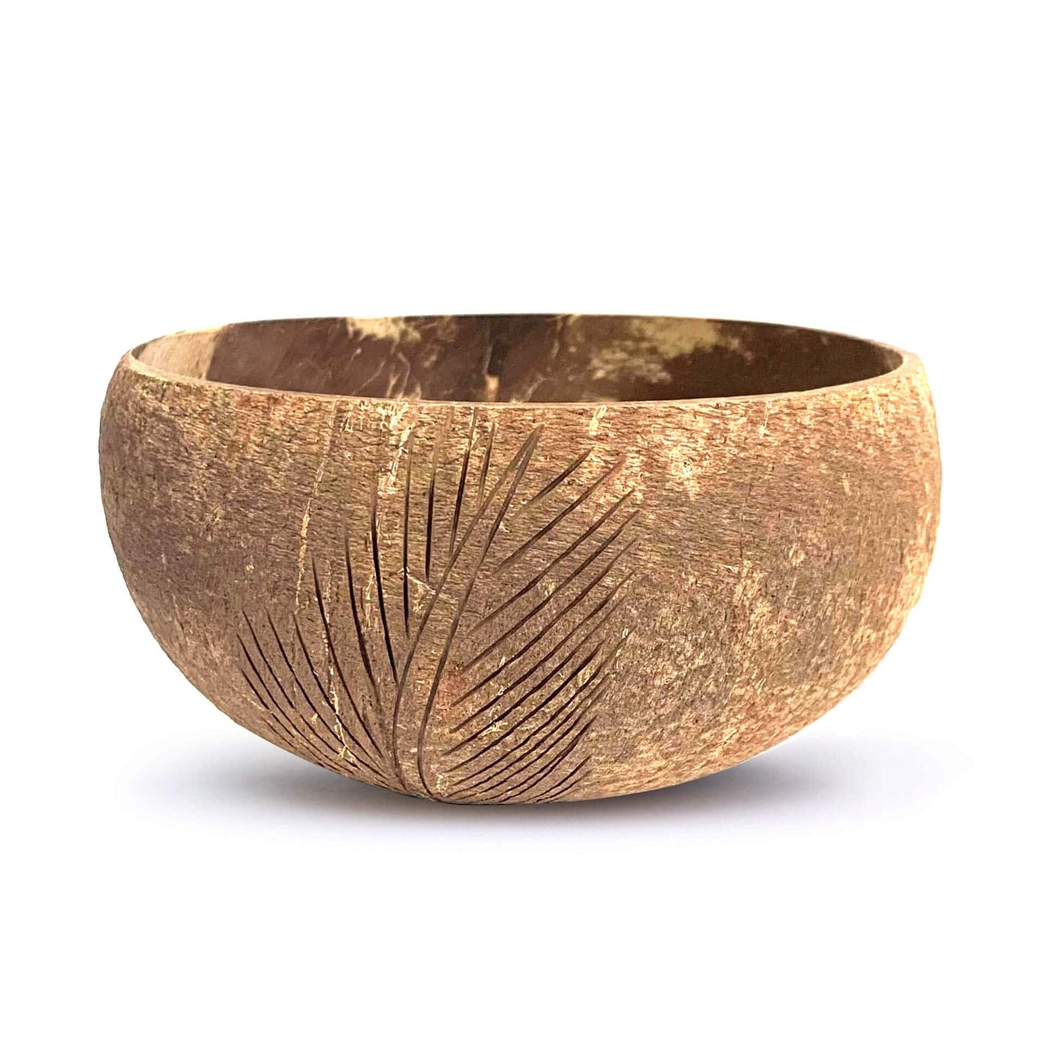 Palm Coconut Bowl Kitchen Serve Set of 2