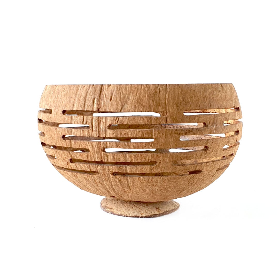 Horizons Coconut Planter