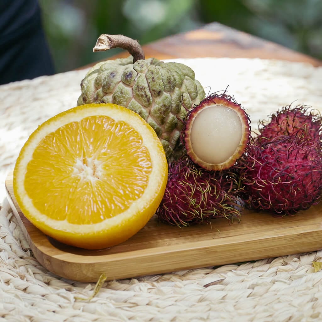 Rectangle Bamboo Plate