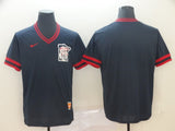 Men's Minnesota Twins Navy Blank Jersey