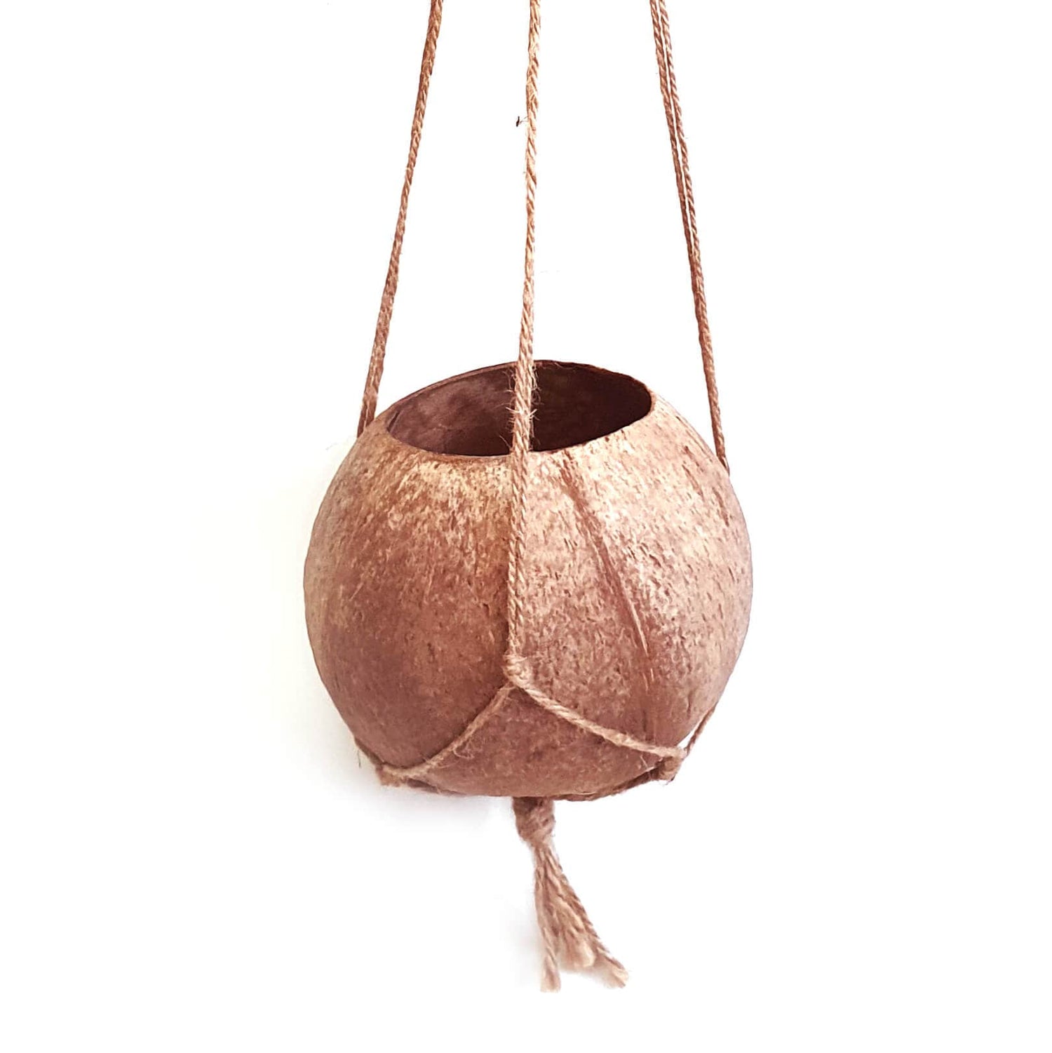 Hanging Coconut Planter
